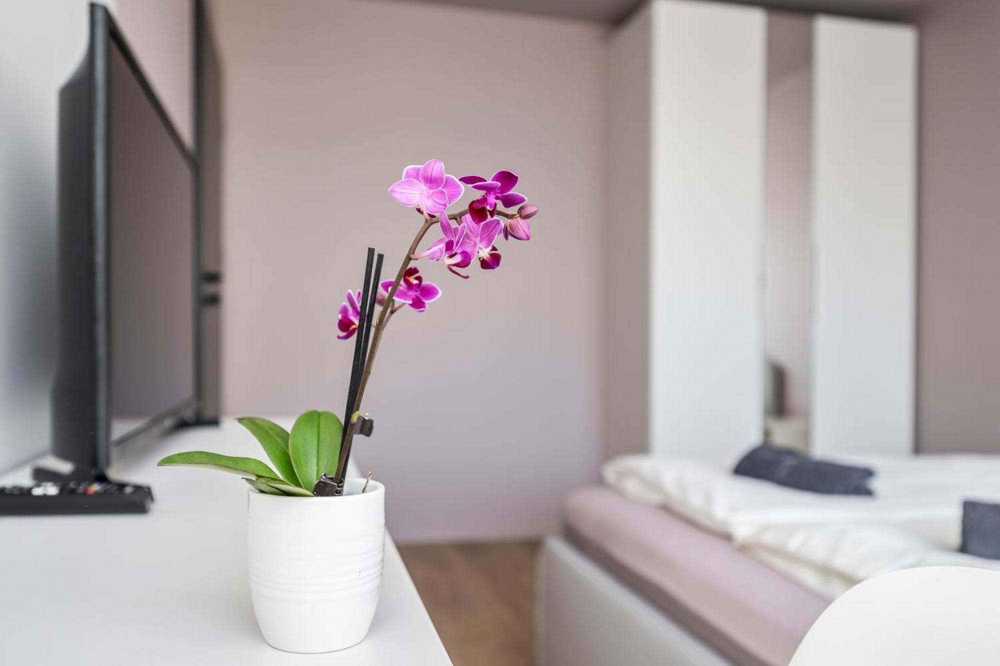 Goldenhugo Rooms Self Check In Pet Friendly วิลนีอุส ภายนอก รูปภาพ